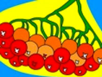 Игра Раскраска для детей Рябина Игра Раскраска для детей Рябина