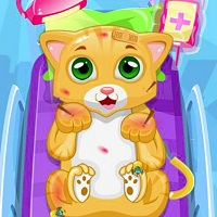 Игра Доктор для животных Игра Доктор для животных