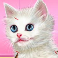 Игра Для девочек уход за животными котятами Игра Для девочек уход за животными котятами