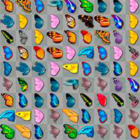 Игра Маджонг логические бабочки