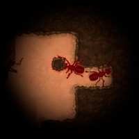 Игра Симулятор муравья